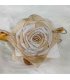 HA281 - Dried Rose Flower Hair Clip